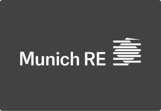 MunichRE-Grey-Box-2x